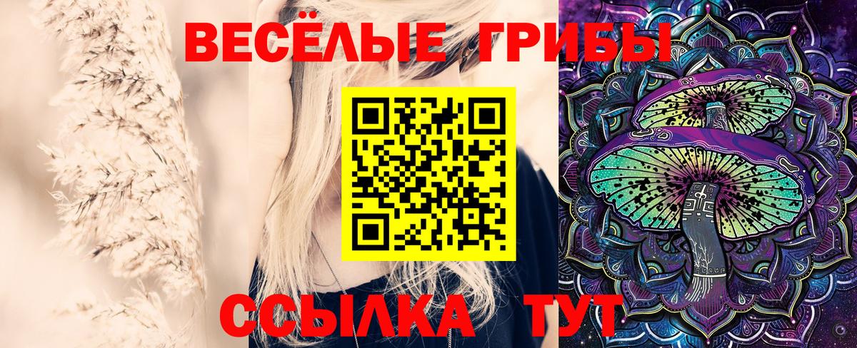 закладка  Псилоцибиновые грибы Psilocybine cubensis  Вход с VPN  Галлюциногенные грибы мухоморы  Лангепас 